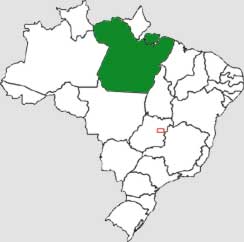 Mapa do Pará